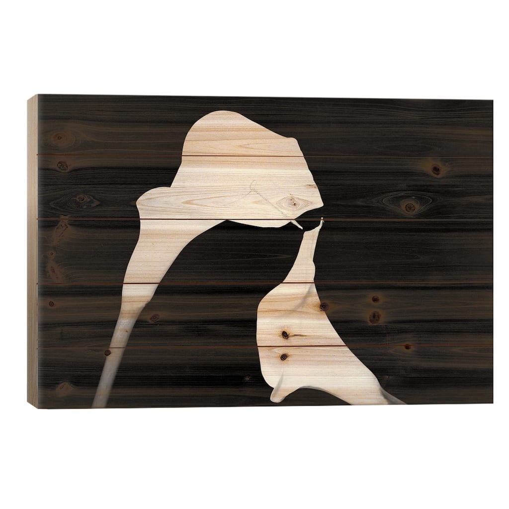 Still Life Shot Of Pierced Calla Lily Flower II Print On Wood by Panoramic Images - Multi-Color