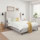 Option Ivory