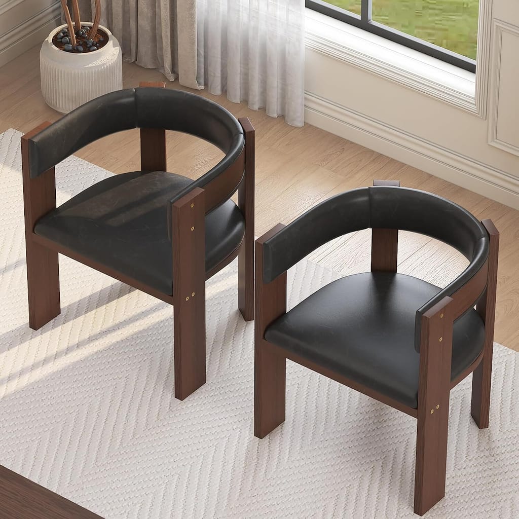 Set of 2 Modern Kitchen Dining Chair for Kitche, Dining Room, Living Room