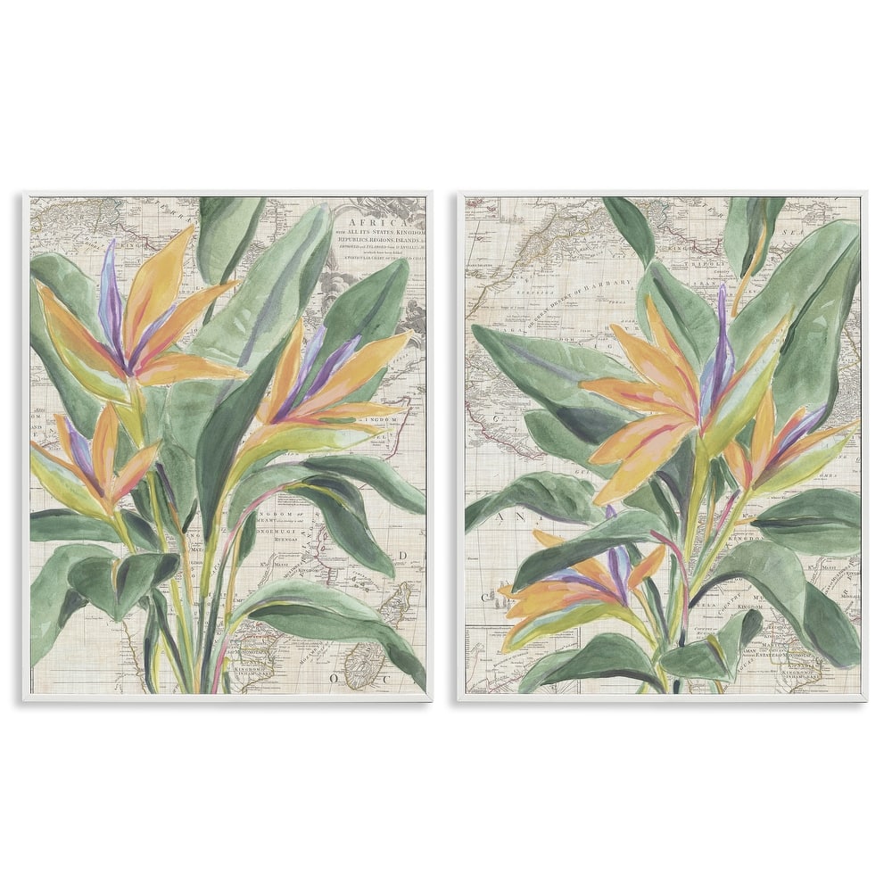 Stupell Flowers over Vintage Map Framed Giclee Art Design By June Erica Vess (Set of 2)