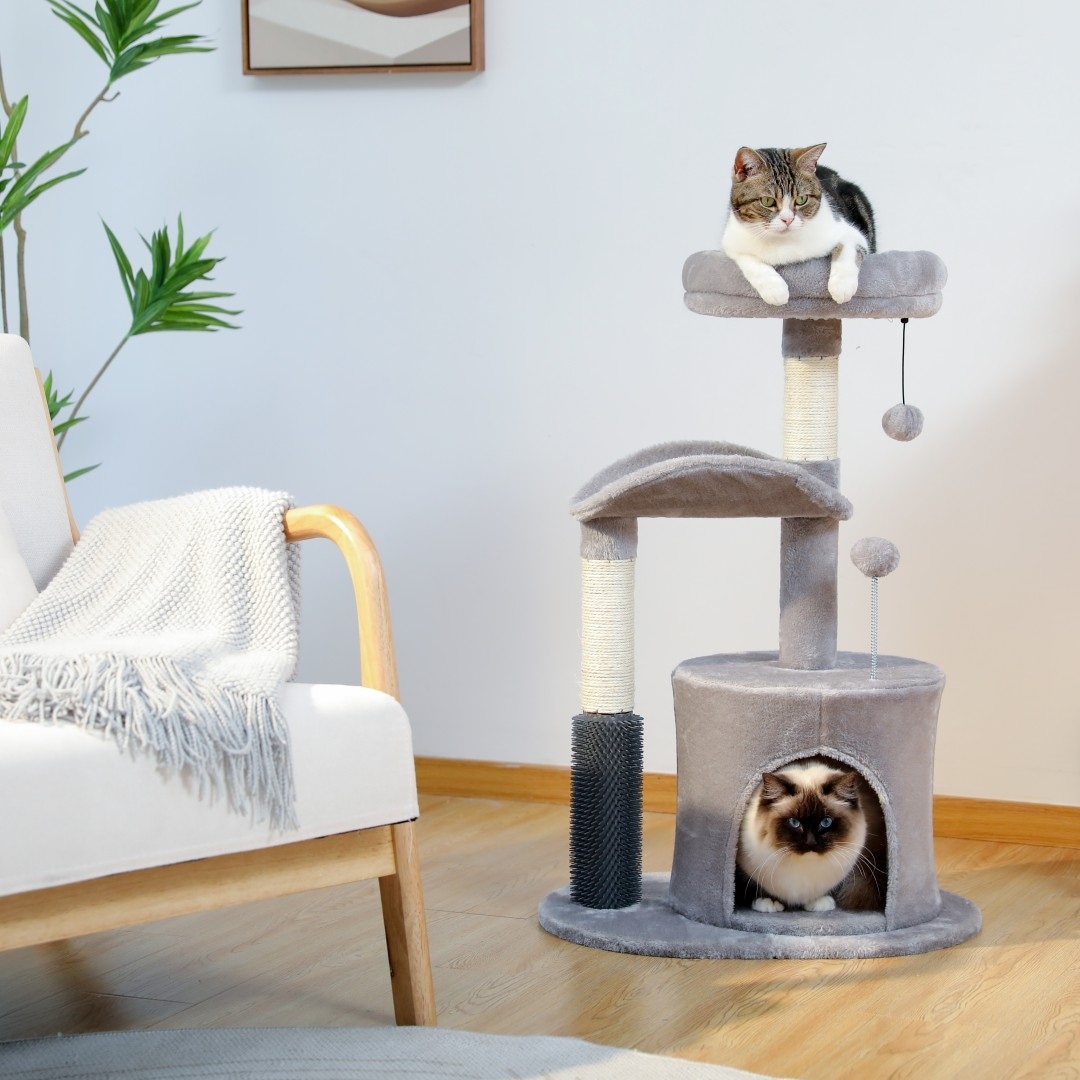 Bed bath and beyond cat bed top