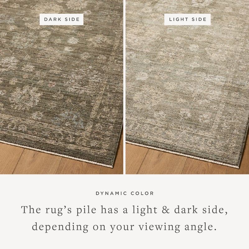 Alexander Home Paloma Traditional Area Rug