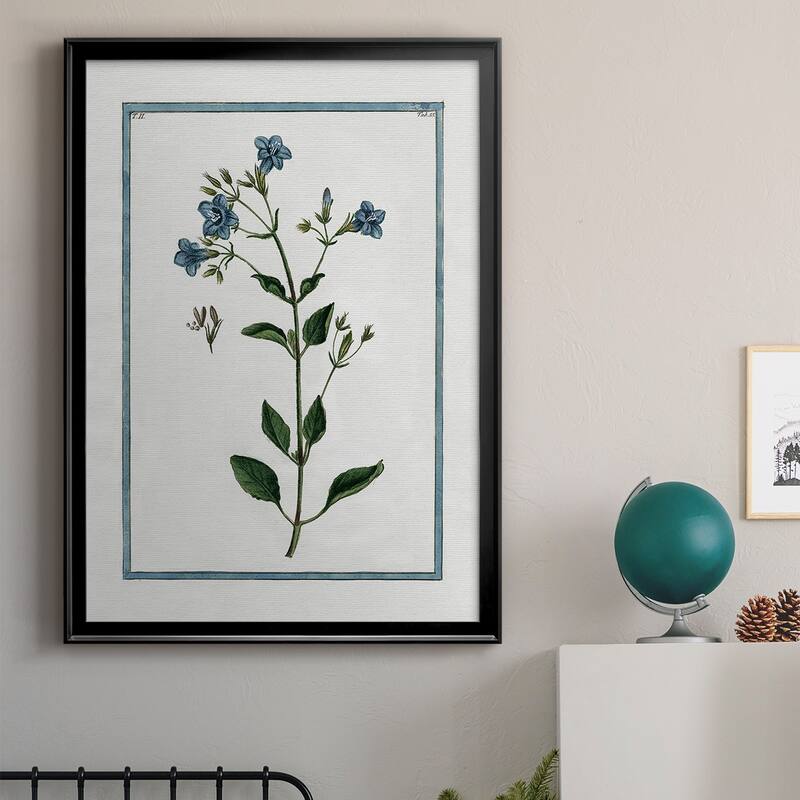 Shabby Chic Botanical II Premium Framed Print - Ready to Hang