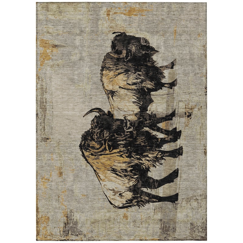 Machine Washable Indoor/ Outdoor Modern Buffalo Chantille Rug