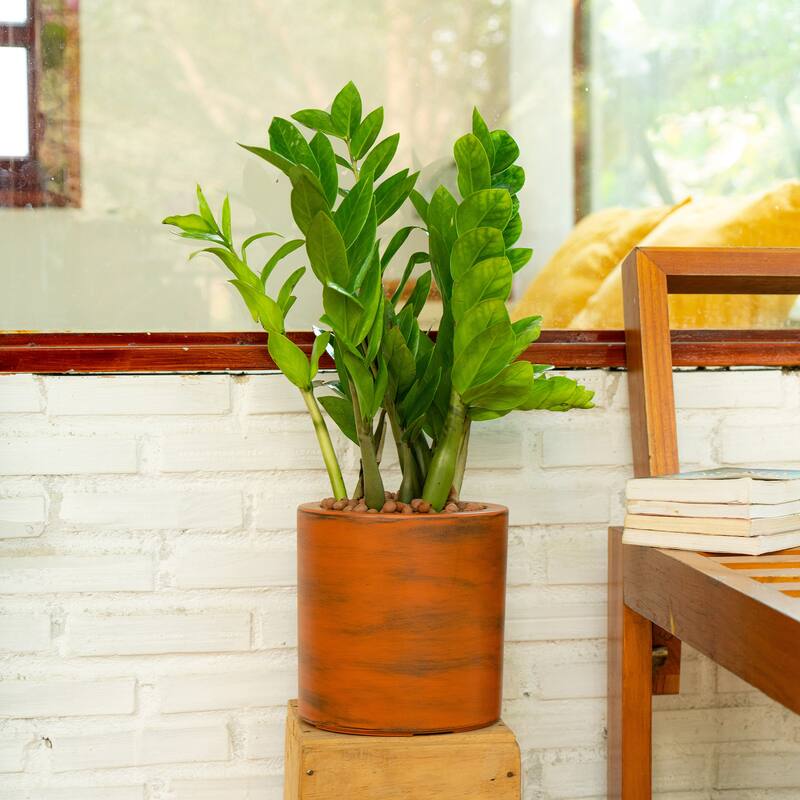 GDFStudio - Farmhouse Outdoor/Indoor 7.8" Self-Watering Round Planter Pot with Drainage Plug and Reservoir System - Light Brown