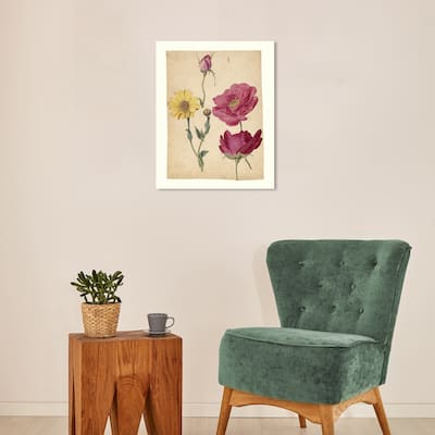 Wynwood Studio Canvas Floral and Botanical Jacques Le Moyne - French Roses and Oxeye Daisy Studies Wall Art Canvas Print