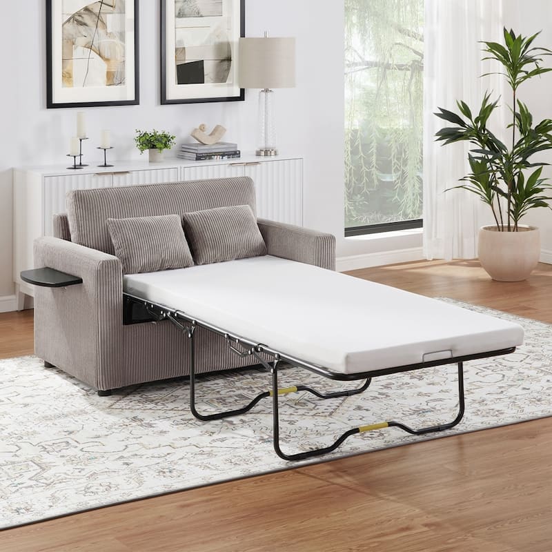Sleeper Sofa Loveseat Sofa with a Foldable Mattress and Storage Pocket and Two USB Ports - 2 Seat