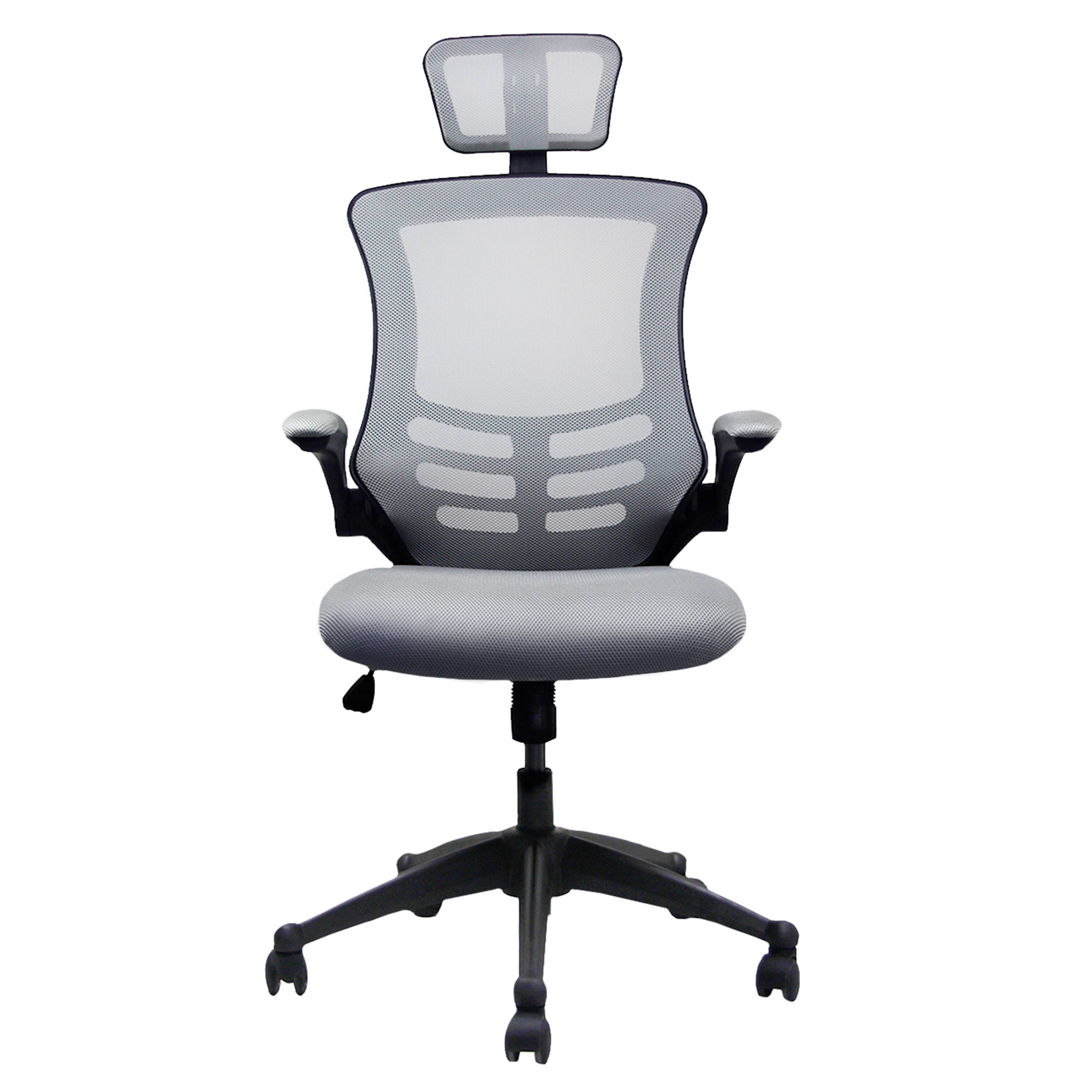 Ergonomic Mesh Computer Chair, High-Back Executive Office Chair,Silver ...