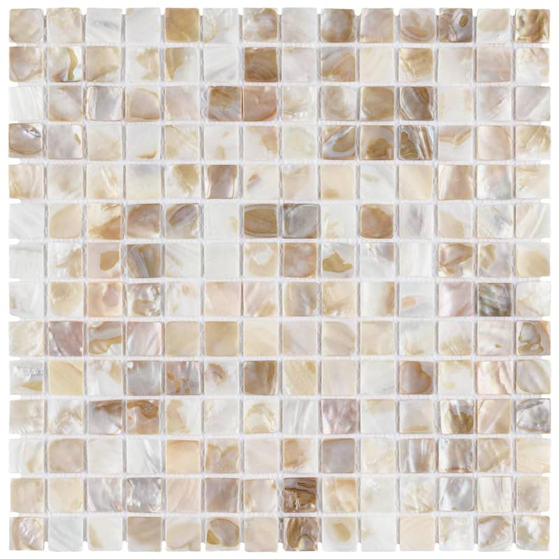 Merola Tile Conchella Square Natural 12" x 12" Natural Shell Wall Tile
