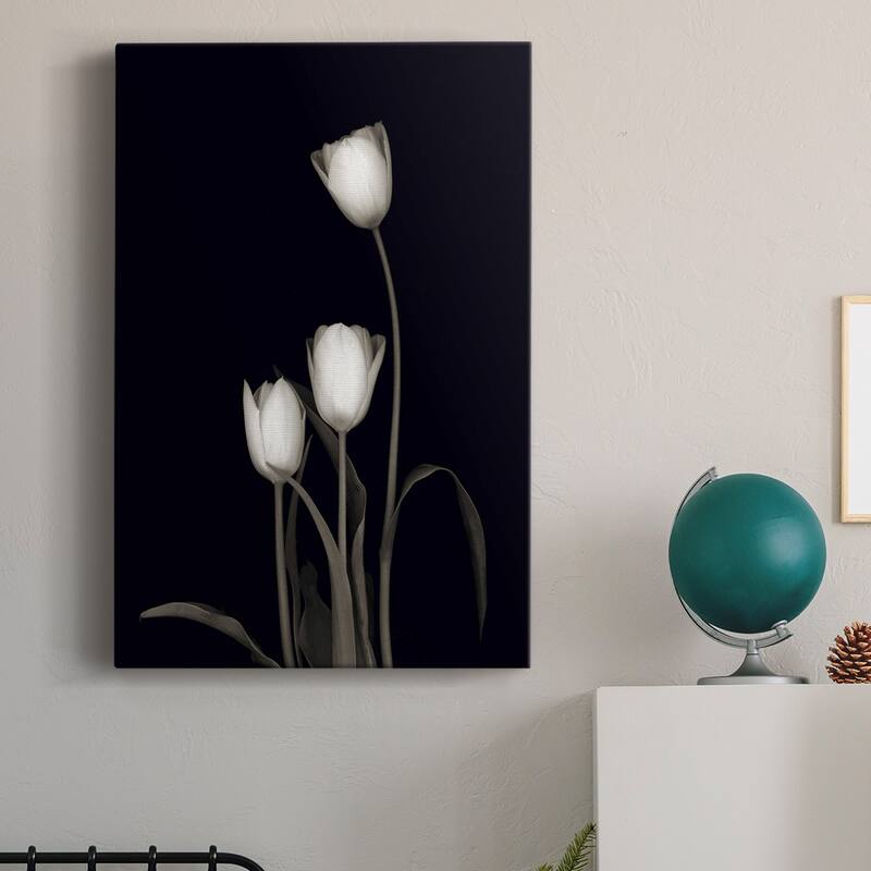Tulip Pose III Premium Gallery Wrapped Canvas - Ready to Hang