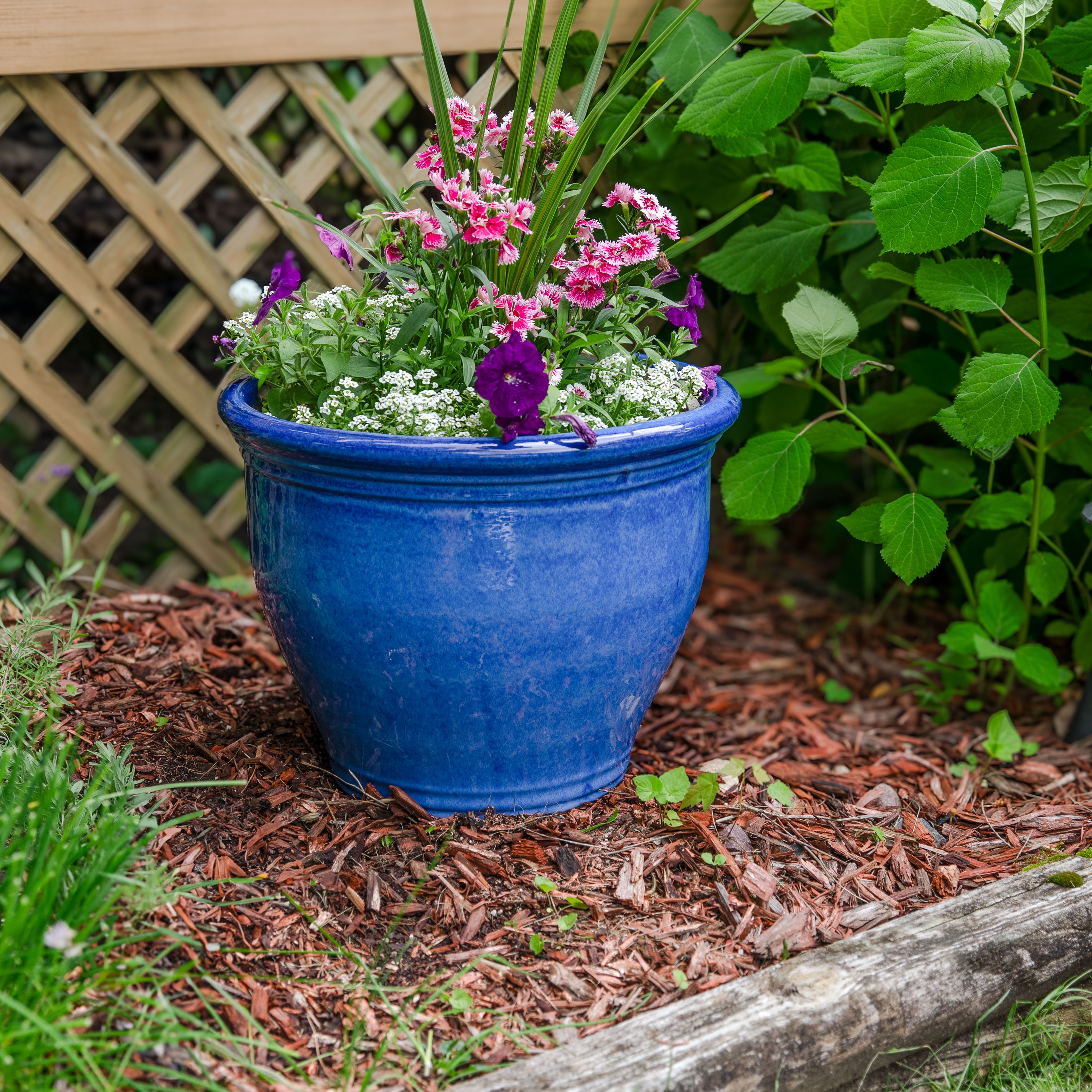 pinky  オフネイビー ボーダー38 Sunnydaze Studio Round Glazed Ceramic Planter with Drainage - 15