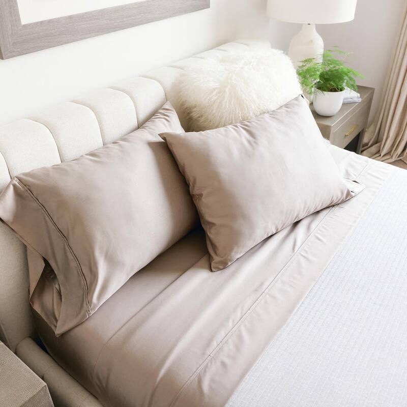 Jennifer Adams Botanical Dream 1000TC Bamboo Blend 2pc. Pillowcase Set - Birch - King