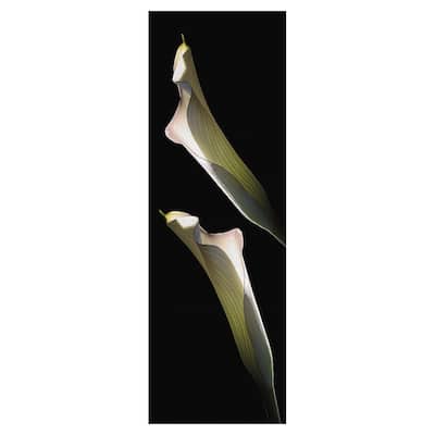 Calla Lilies Panel I Canvas Art Print
