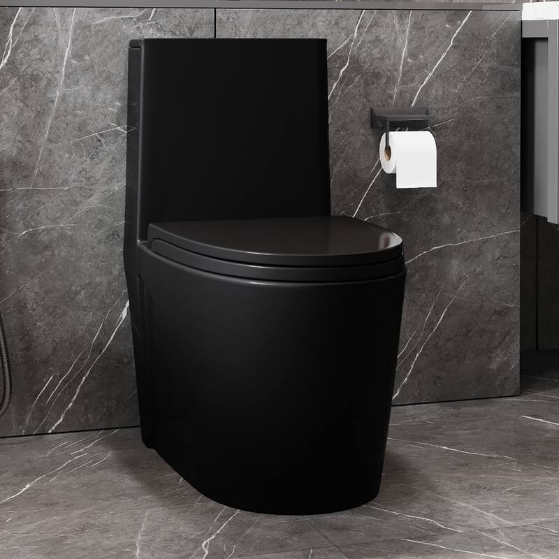 1.1/1.6 GPF Dual Flush 1-Piece Elongated Toilet with Matte Black