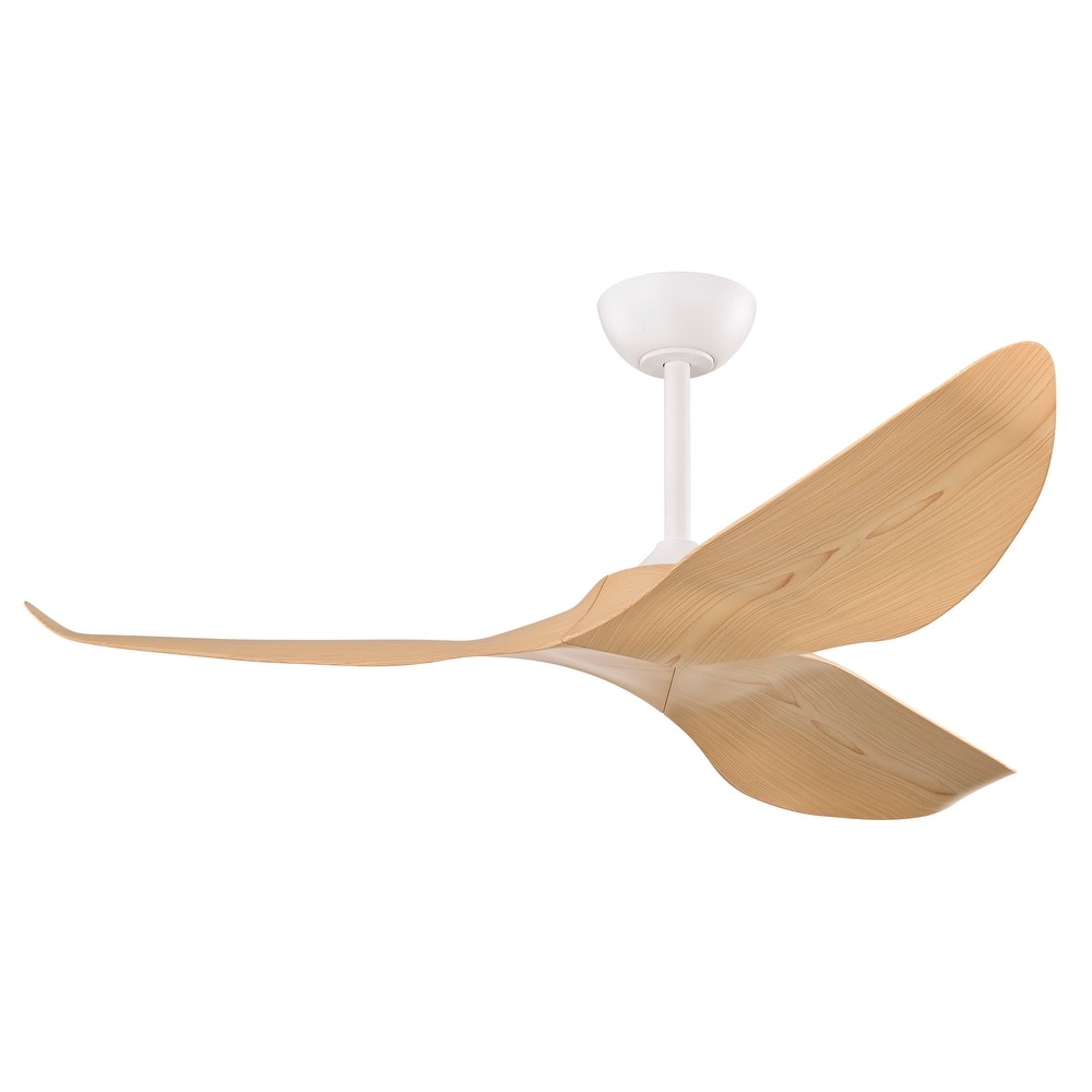 Duncan Modern 3 Bladed Ceiling Fan with Remote