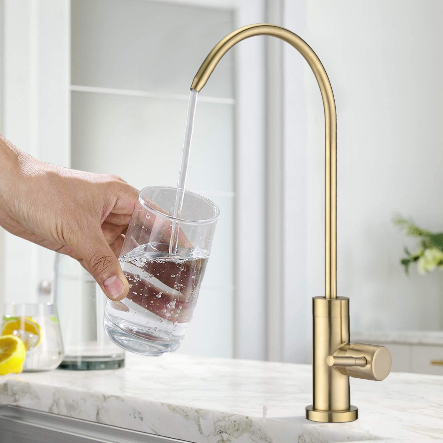 Kitchen faucet water sales filter