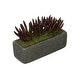 preview thumbnail 1 of 4, Faux Senecio Garden in Black Sandy-Texture Ceramic Vase Burgundy