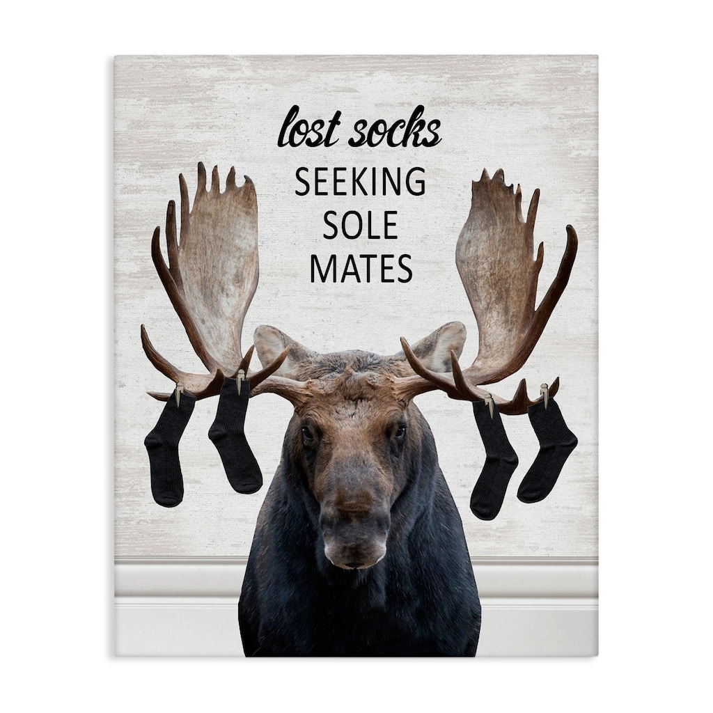 Stupell Lost Socks Seeking Sole Mates Canvas Wall Art Design By Lettered and Lined