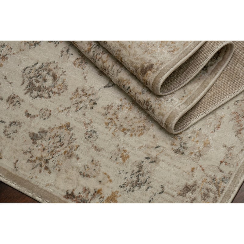 Dynamic Rugs Charlotte Traditional Area Rug