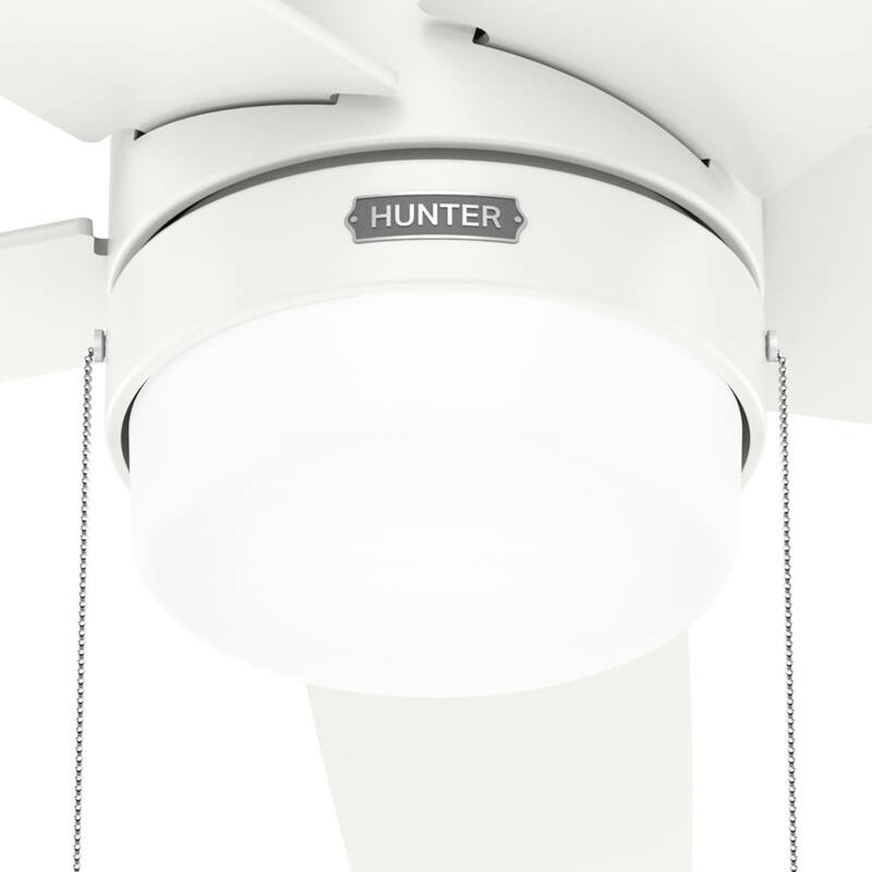 Hunter Bardot Ceiling Fan with LED Light Kit and Pull Chain, Modern, Contemporary, Transitional