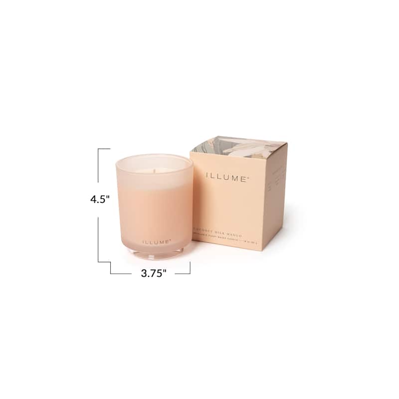 Beautifully Done Essentials Coconut Milk Mango Demi Vanity Tin Scented Candle