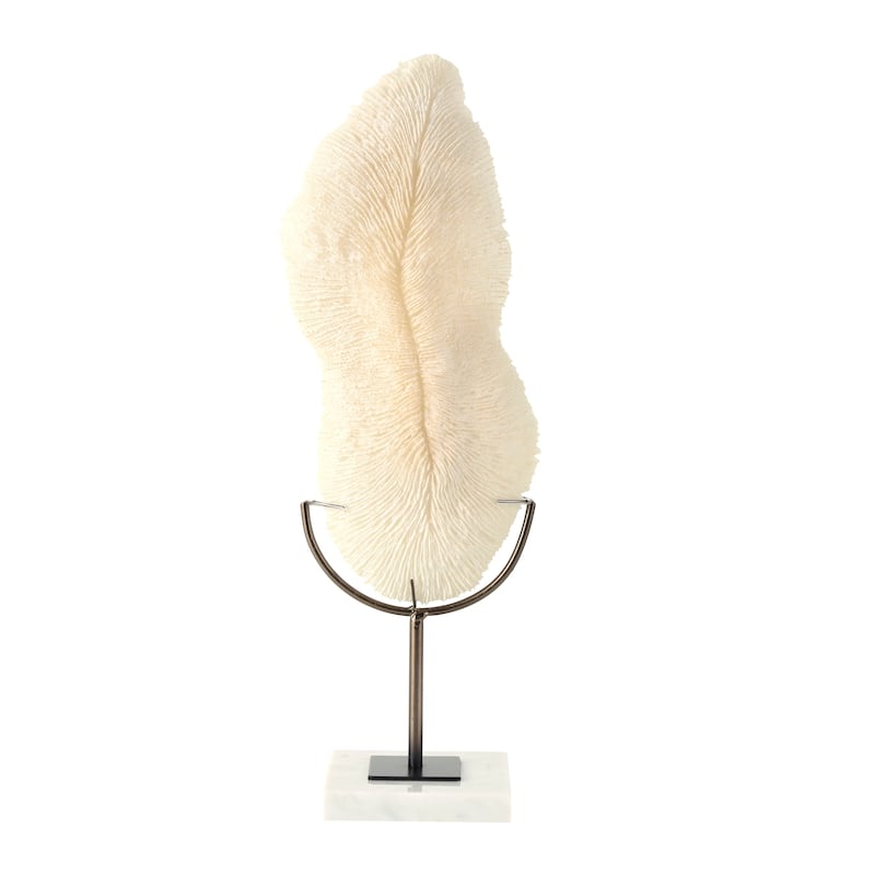 Polystone Coral Abstract Textured Sculpture with Gray Stand and Acrylic Base - Cream - Roche River Decor - 5"W x 7"L x 19"H