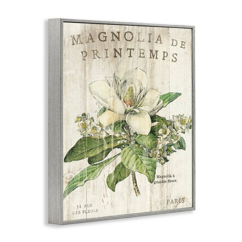 Stupell French Magnolias In Spring Framed Giclee Texture Art