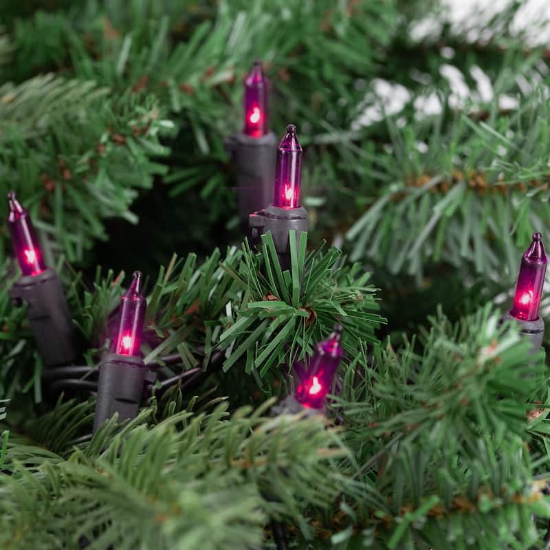 100-Count Purple Mini Incandescent Christmas Light Set 20.25ft Black Wire - 20.25'