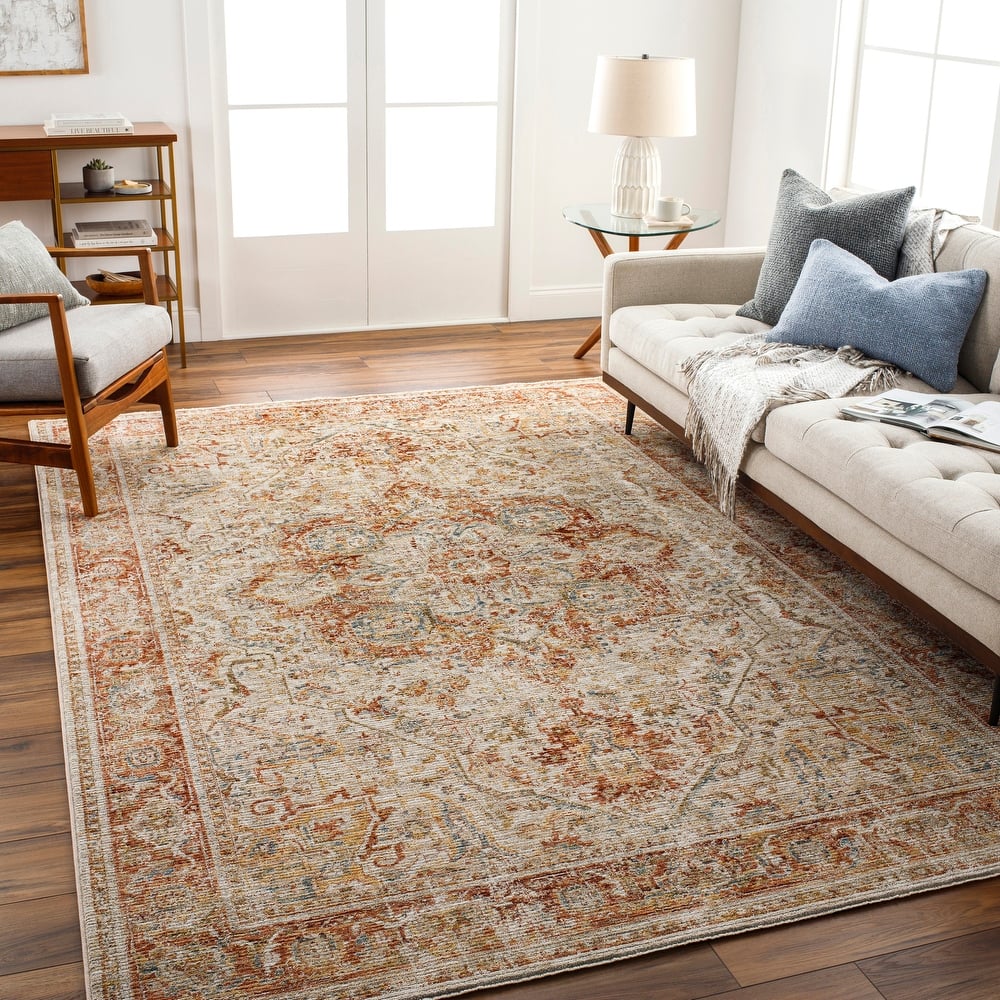 Zeynepe Traditional Medallion Area Rug