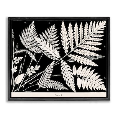 Stupell Overlapping Ferns on Black Framed Floater Canvas Wall Art Design By Phillipa Katz
