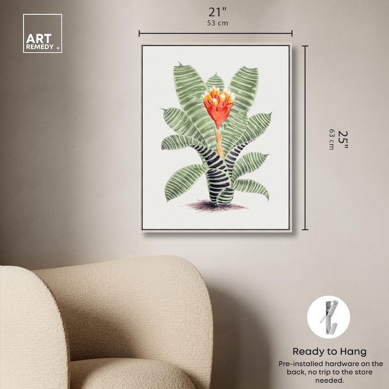 Tillandsia Musaica Plant Canvas by Art Remedy