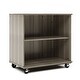 preview thumbnail 18 of 21, Tot Mate Open Single Sided Mobile Storage Locker, Write-on Wipe-off Markerboard Back - 36" Height x 23" Depth Shadow Elm Gray