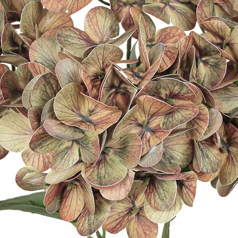 Set of 2 Natural Touch Dusty Cafe Artificial Hydrangea Flower Stem Bush Bouquet 18in - 18" L x 11" W x 11" DP