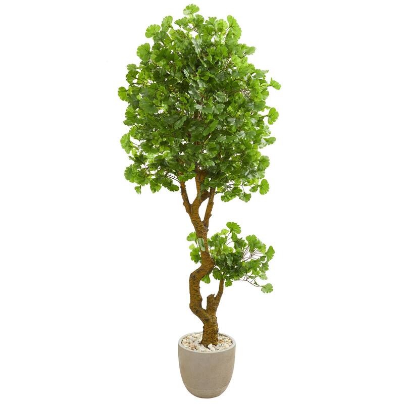 Artificial Jingo Tree 6.5Ft Indoor Outdoor Sand Planter UV Resistant Decorative Tree - 6.5ft.