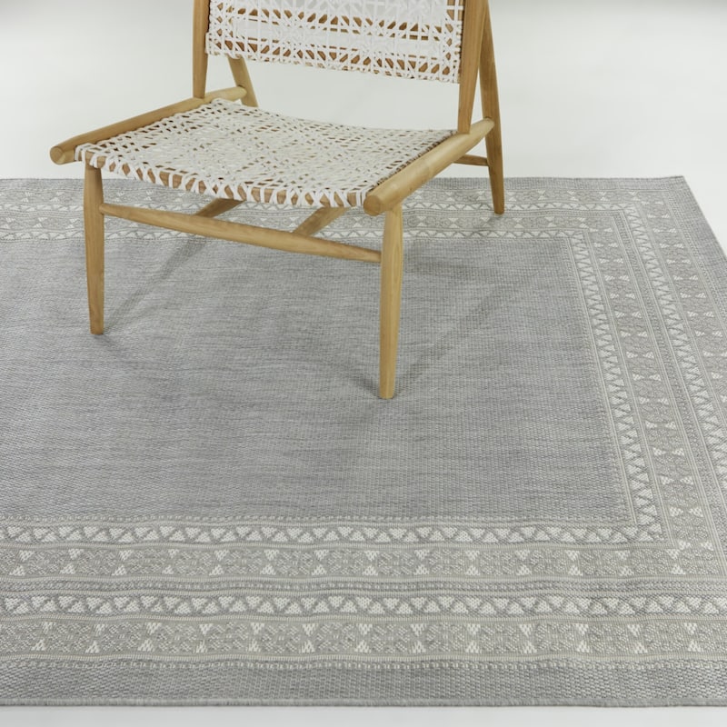 Carew Transitional Border Indoor/Outdoor Area Rug - 7'10" x 10' - Grey