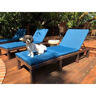 Jamaica Outdoor Chaise Lounge with Cushion by Christopher Knight Home