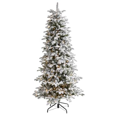 7' Flocked North Carolina Fir Christmas Tree with 550 Lights - Green