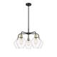 Option Clear / Black Antique Brass