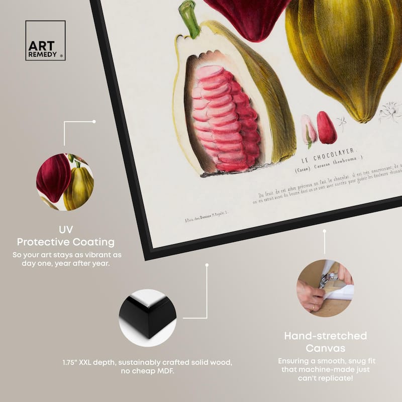 Cocoa Cacao by Etienne Denisse Canvas by Art Remedy