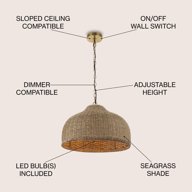 Lacey 20" 1-Light Coastal Bohemian Rattan/Iron Dome LED Pendant, Brown/Brass Gold by JONATHAN Y
