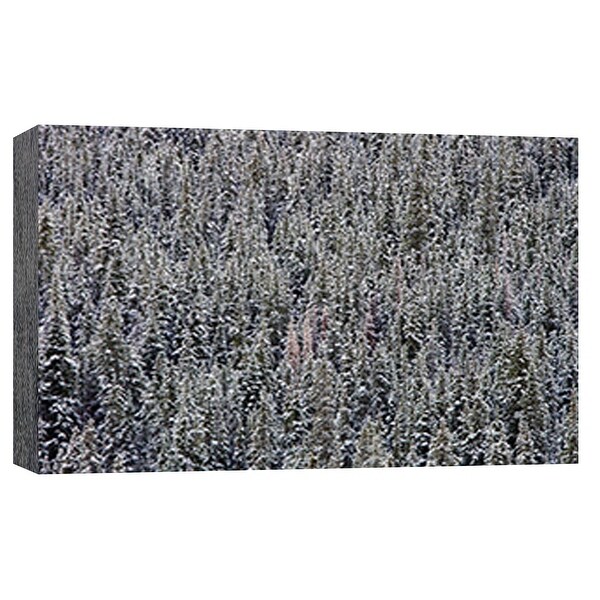 PTM Images 9-101794 PTM Canvas Collection 8" x 10" - "Snow Trees" Giclee Forests Art Print on Canvas