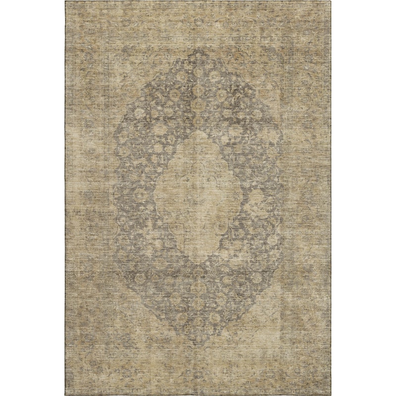 Premium Washable Super Soft Vintage Traditional Mayfield Rug