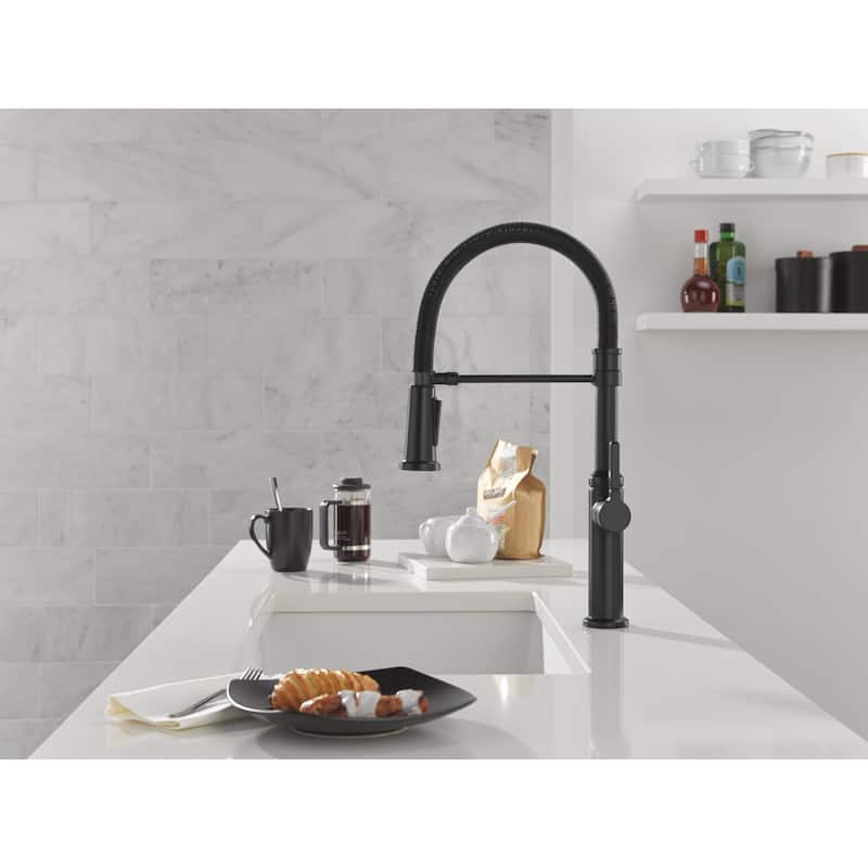 Delta 18829-DST Rhett 1.8 GPM Single Hole Pre-Rinse Pull Down Kitchen