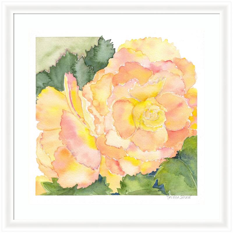 Kate and Laurel Framed Art Orange Pink Abstract Begonia by Patricia Shaw - 35x35 - White