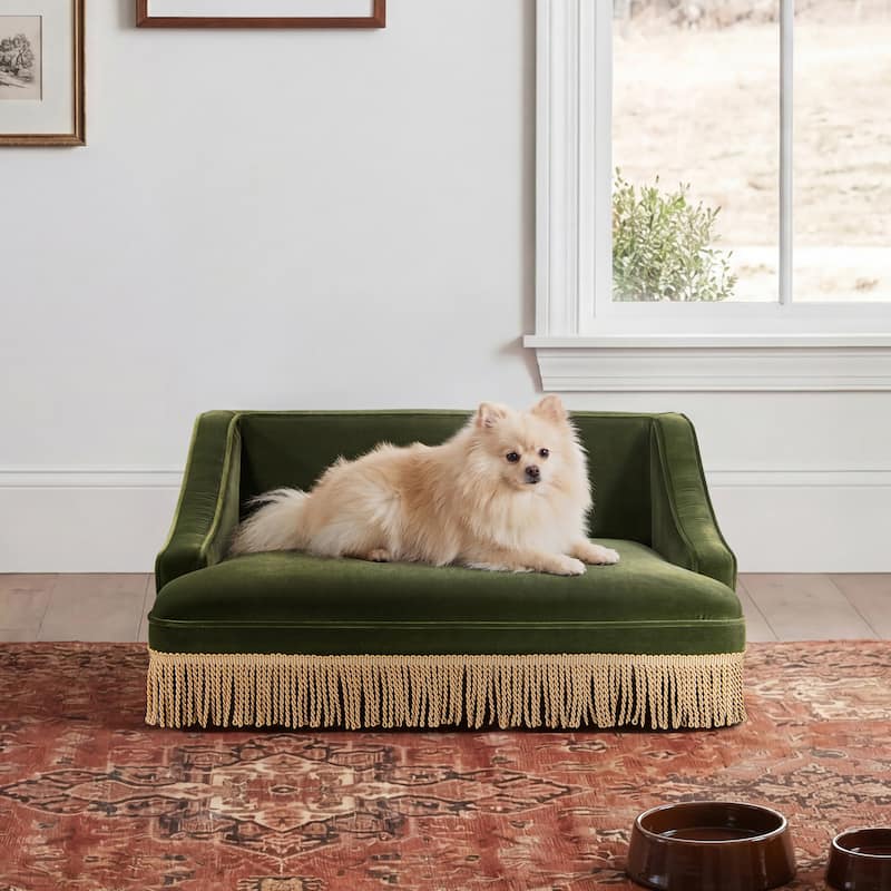 Jennifer Taylor Home Duchess 33" Medium Princess Pet Bed Sofa with Fringe Skirt - Olive Green