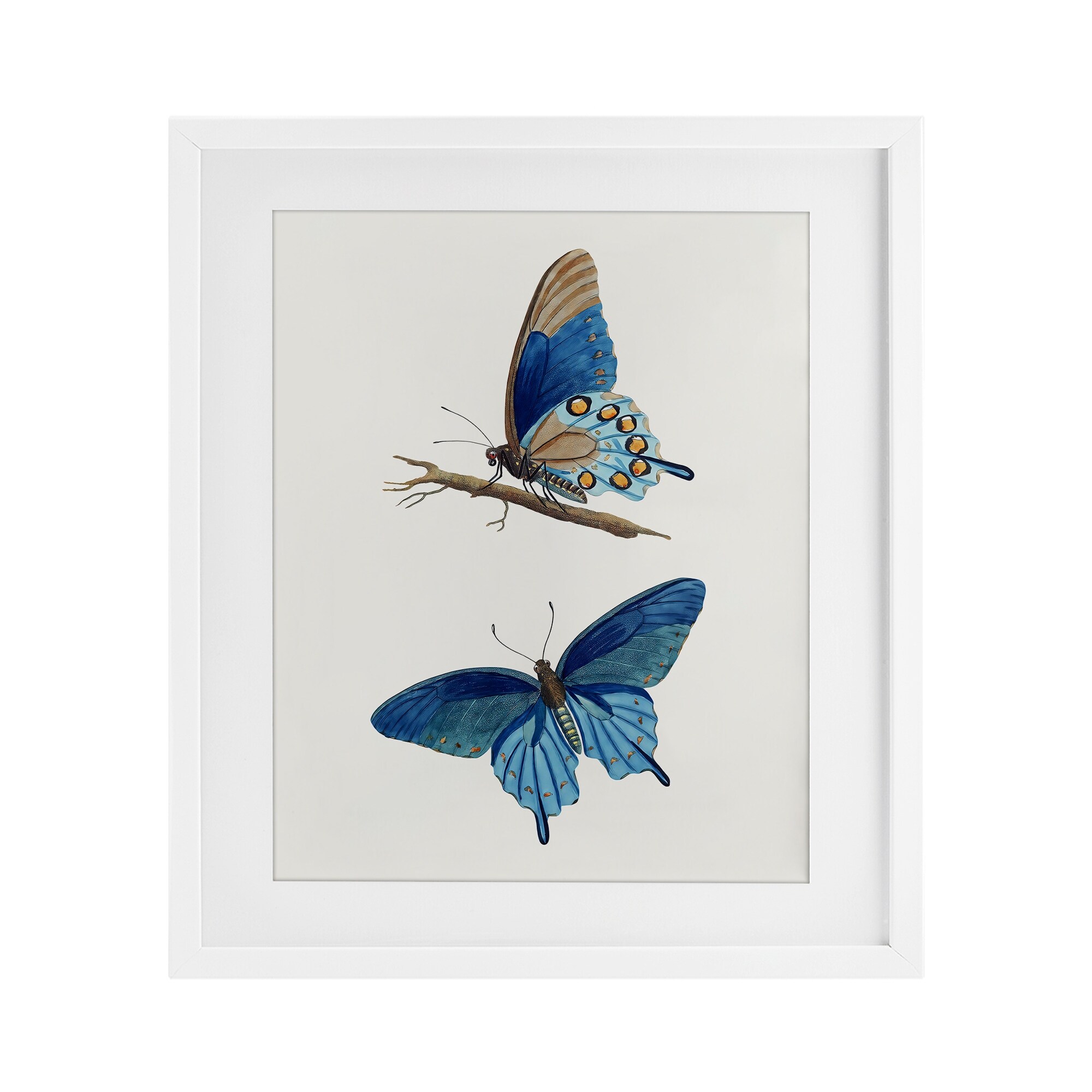 Blue Butterflies Pair Arlington Prints