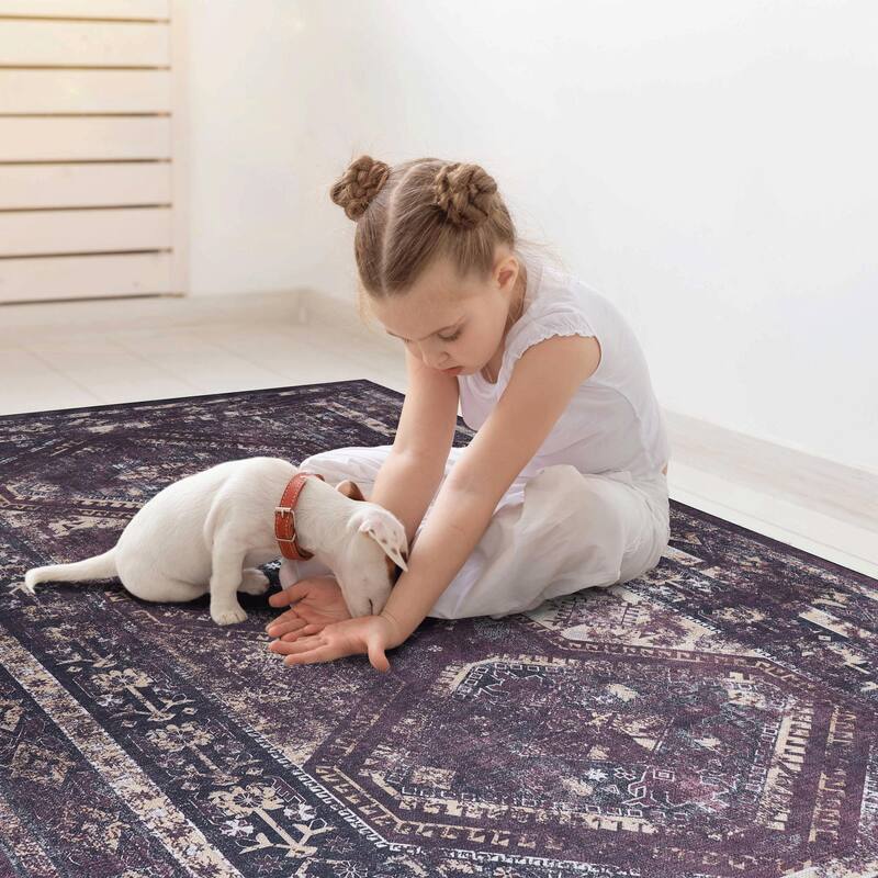Area Rugs 2x3 Living Room,Washable Rug,Low-Pile,Non-Slip,Non-Shedding,Foldable,Kid & Pet Friendly for living room - 3'6"