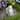 6" Heavenly Gardens Kneeling Cherub Angel Outdoor Garden Statue