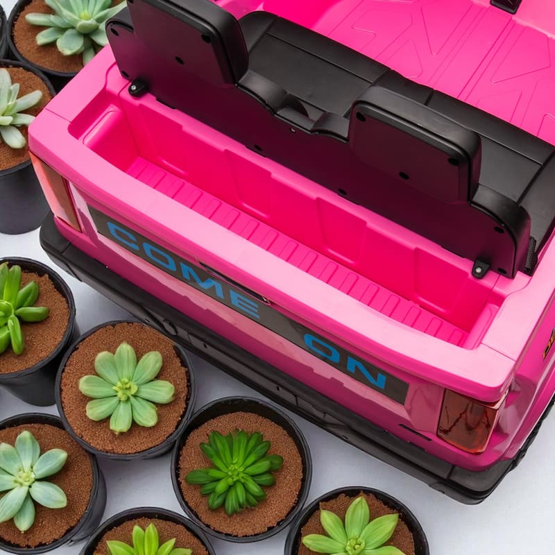 24V Kids Ride-On Electric Pickup, Two-Seater, 4WD, 800W Motors, Remote Control, Bluetooth, USB, Safety Belt for Kids 3+