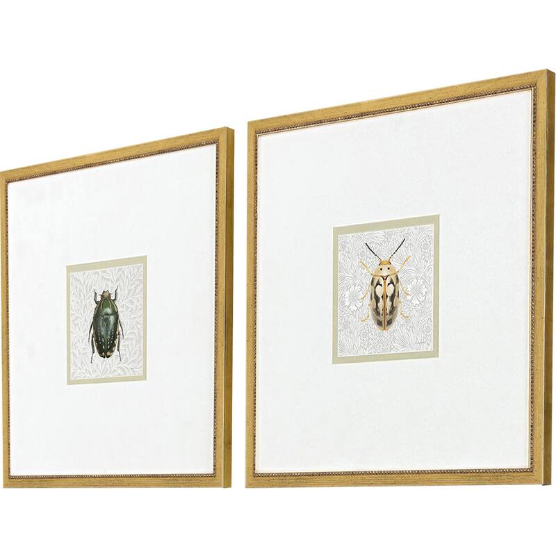 Paragon Beetles Framed Art - Set of 2